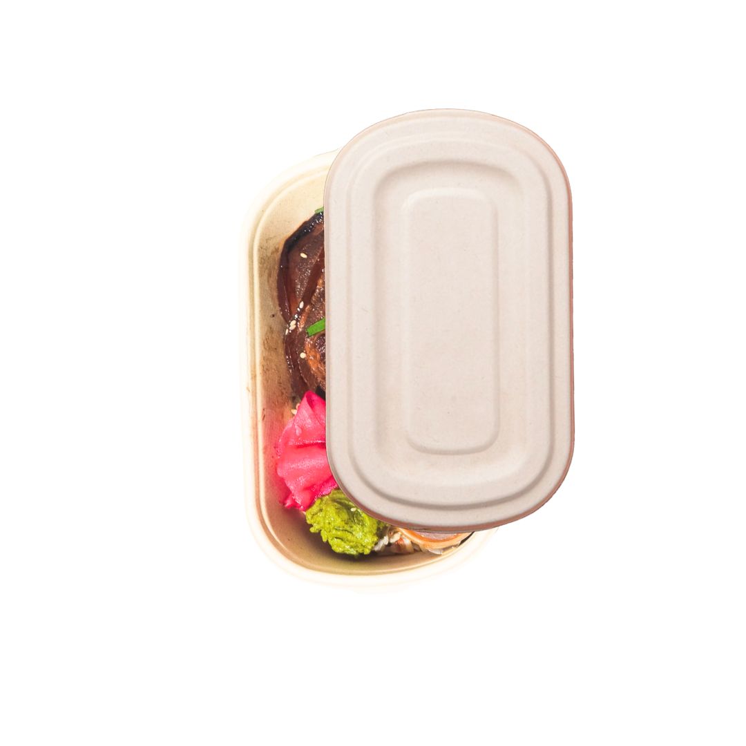 Chow Down Chasu Pork Bowl by Thera™