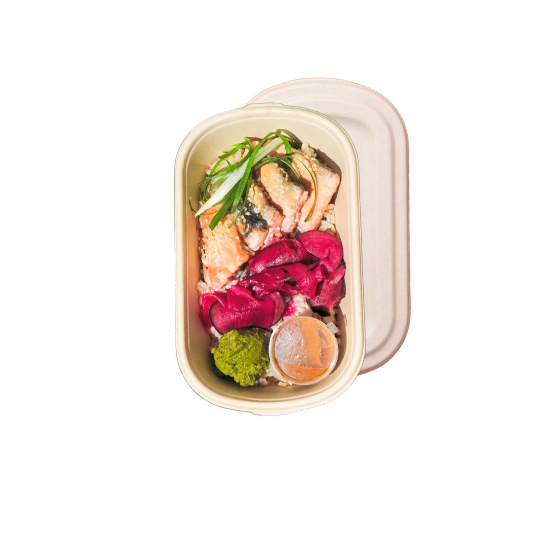 Omega Salmon-the-Go Bowl by Thera™