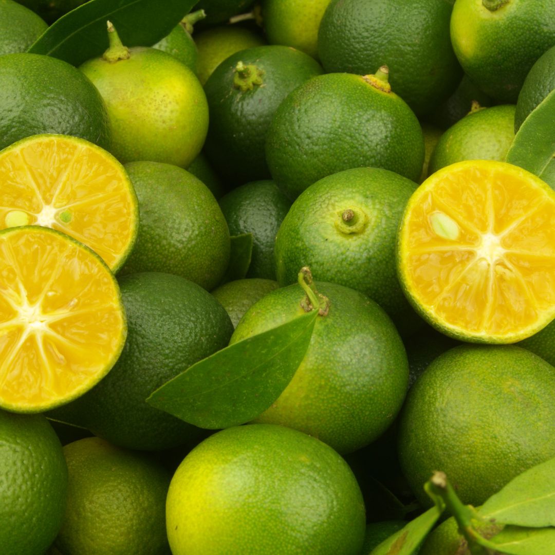 STEAV Original Brew Iced Tea – Calamansi