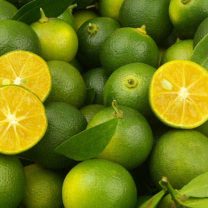 STEAV Original Brew Iced Tea – Calamansi